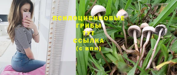 шишки Абдулино