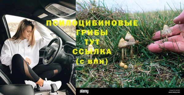 шишки Абдулино